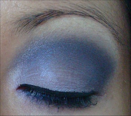 Purple Eye of the Day