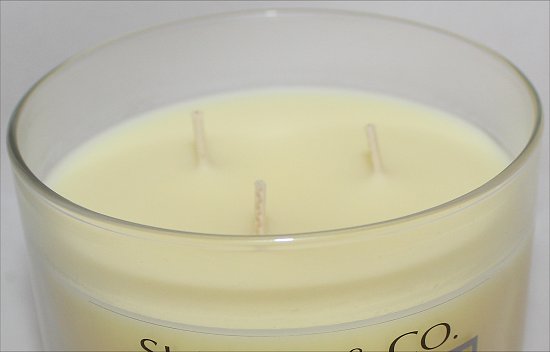 Bath & Body Works Slatkin & Co. Pineapple Mango Candle Review & Photos