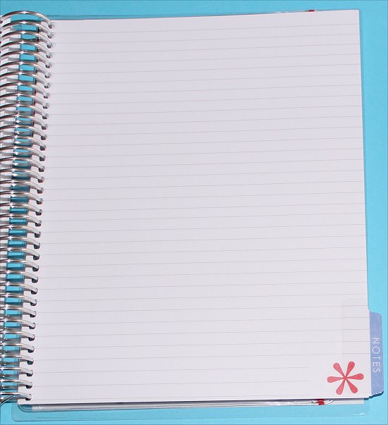 Erin Condren Life Planner Lined Pages