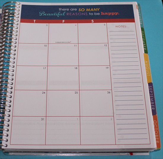 Erin Condren Life Planner Monthly View 2