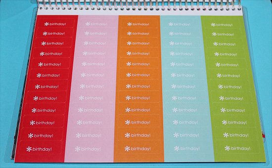 Erin Condren Life Planner Stickers Birthday