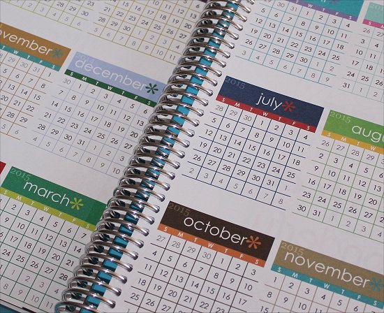 Erin Condren Life Planner Year at a Glance